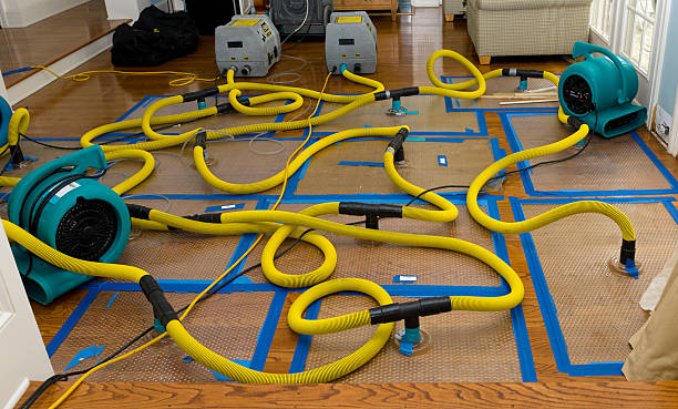 Professional Water Damage Restoration technician working in Cedar Grove, FL